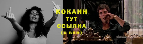 мяу мяу мука Гусиноозёрск