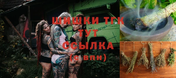 амф Алексин