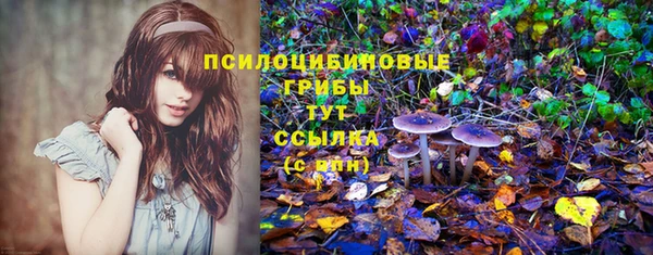 не бодяженный Алзамай